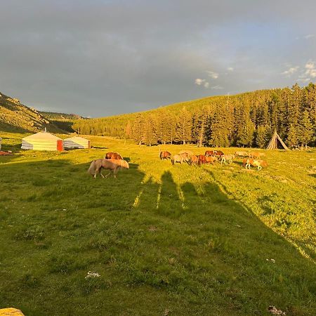 Готель Sara'S Camp Zuunmod Екстер'єр фото